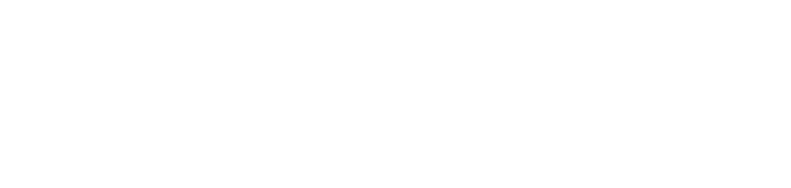 Logo Metropolitano